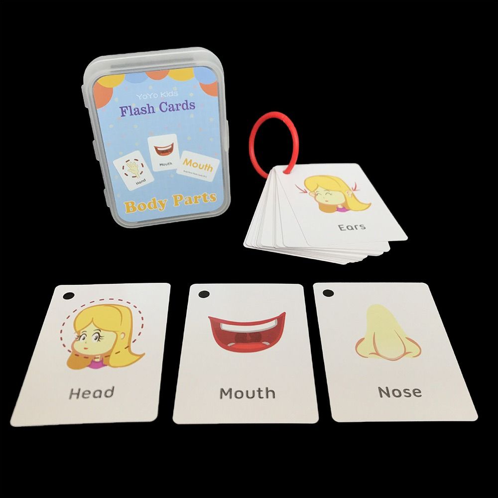 Halka Alfabesi Tablosu ile Alf - Flash Card Alphabet incelemesi ve fiyatı